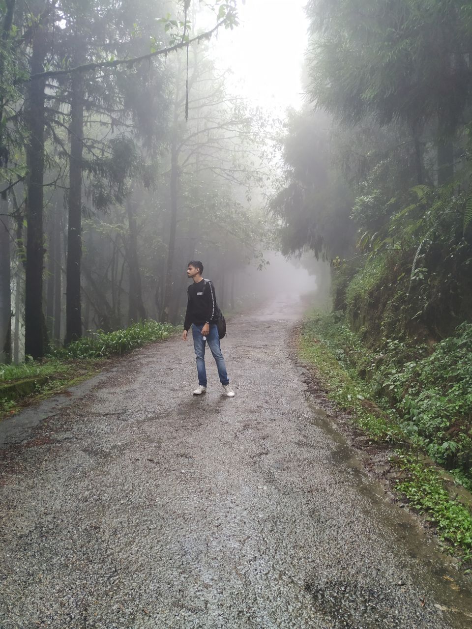 Photo of Gangtok, Sikkim, India by priyam saha