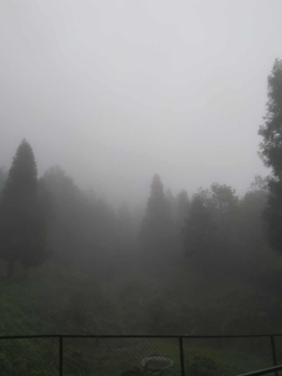 Photo of Gangtok, Sikkim, India by priyam saha