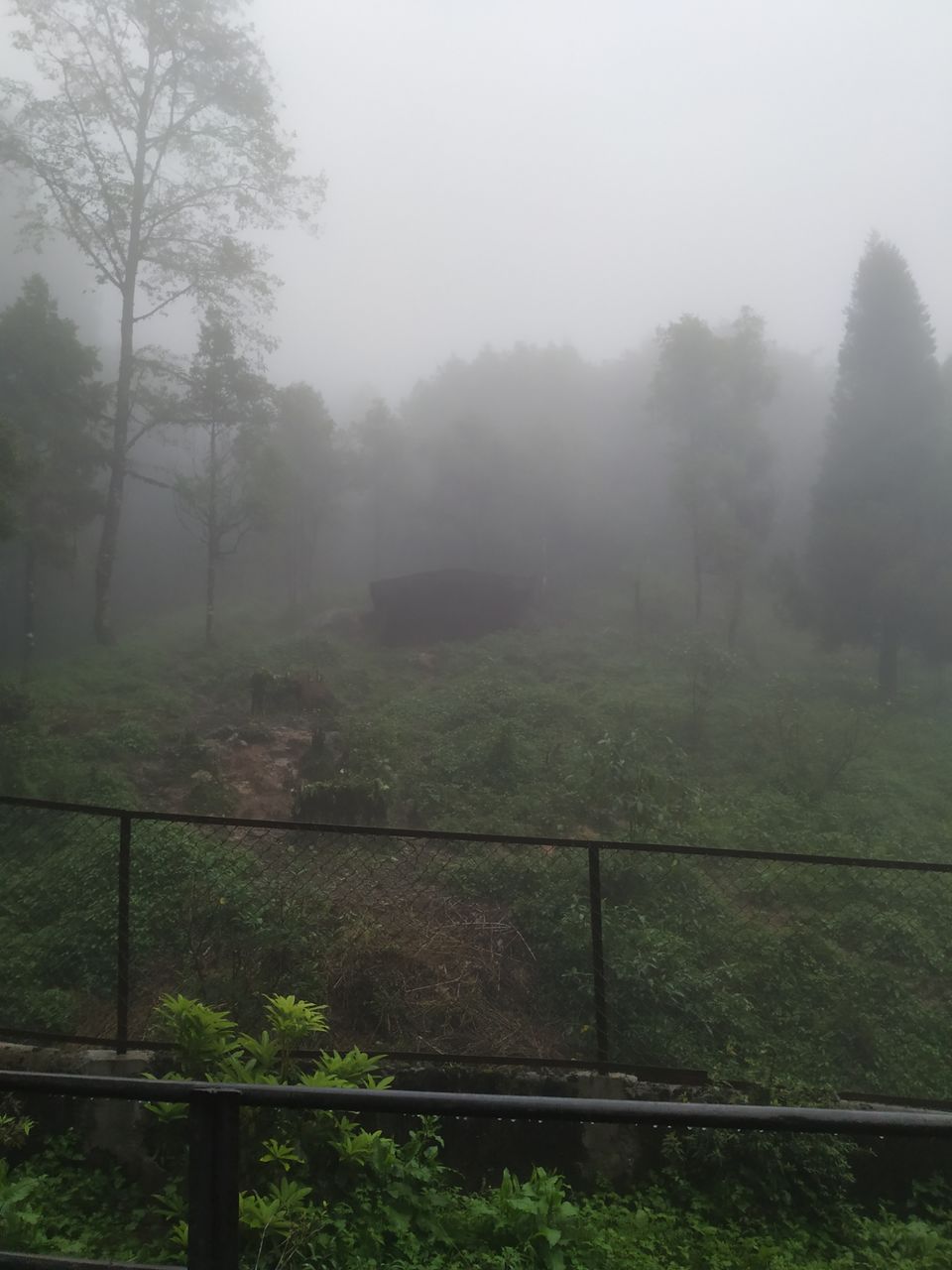 Photo of Gangtok, Sikkim, India by priyam saha