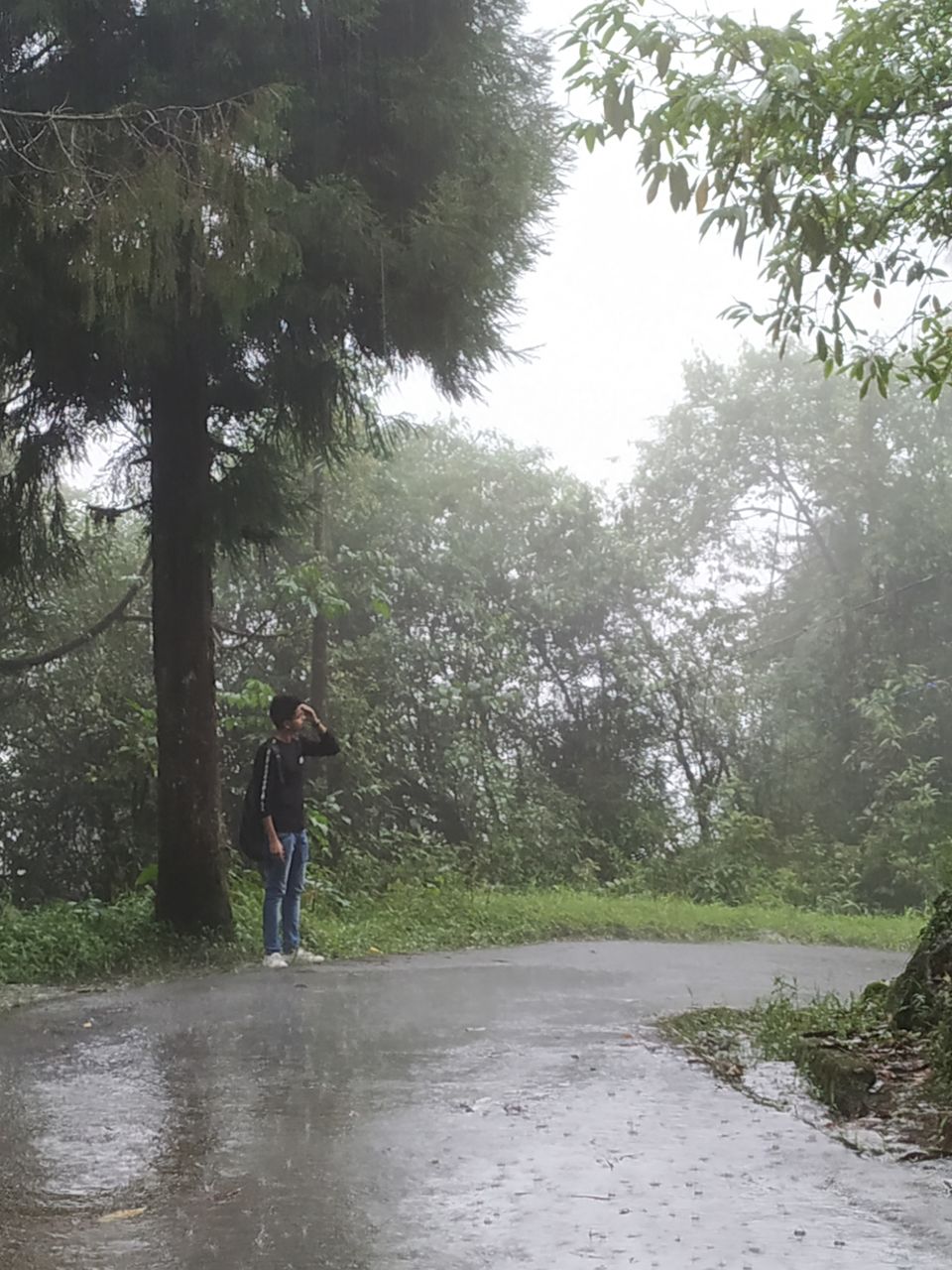 Photo of Gangtok, Sikkim, India by priyam saha