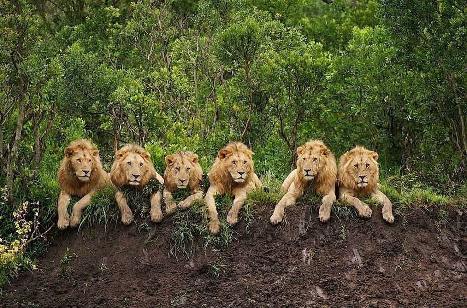 Photo of South Africa by raghavendra nanubala