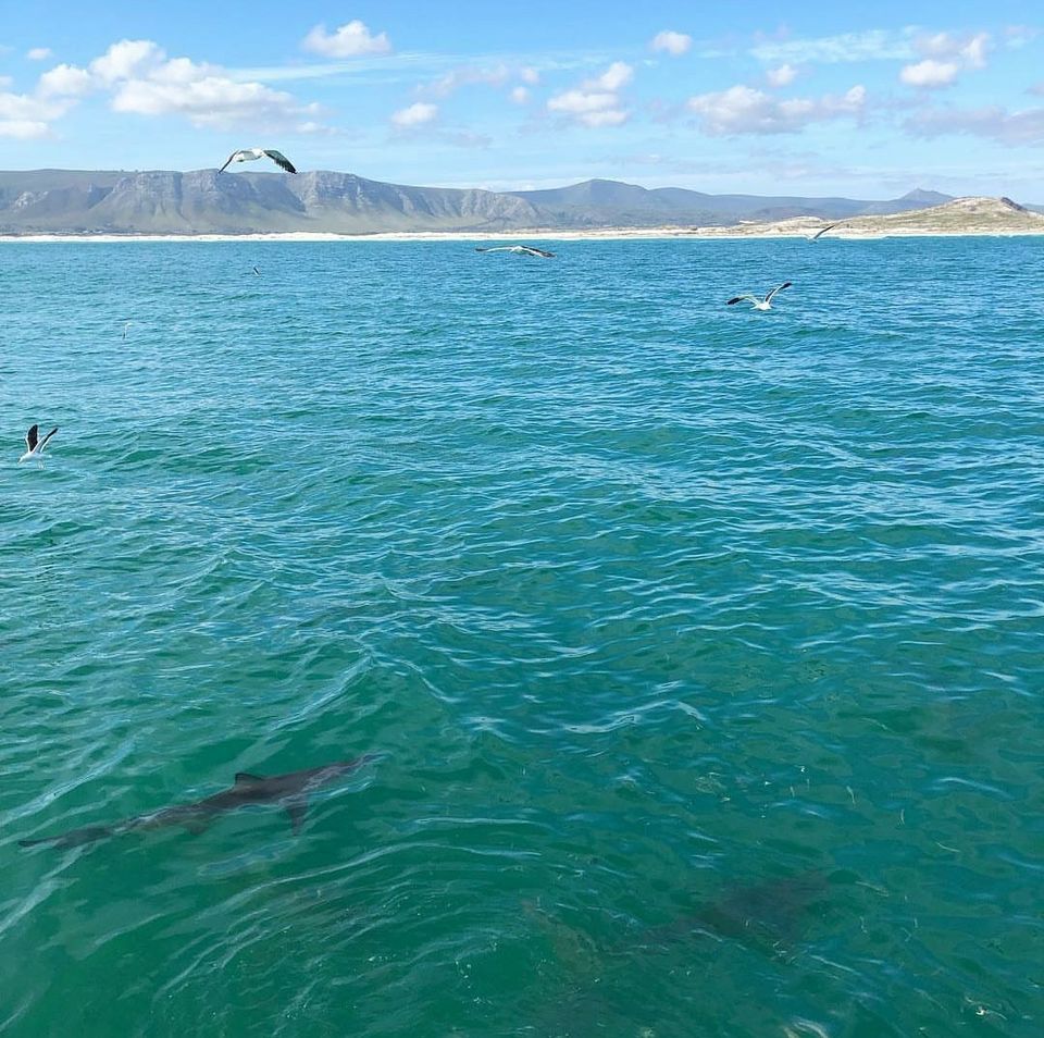Photo of South Africa by raghavendra nanubala