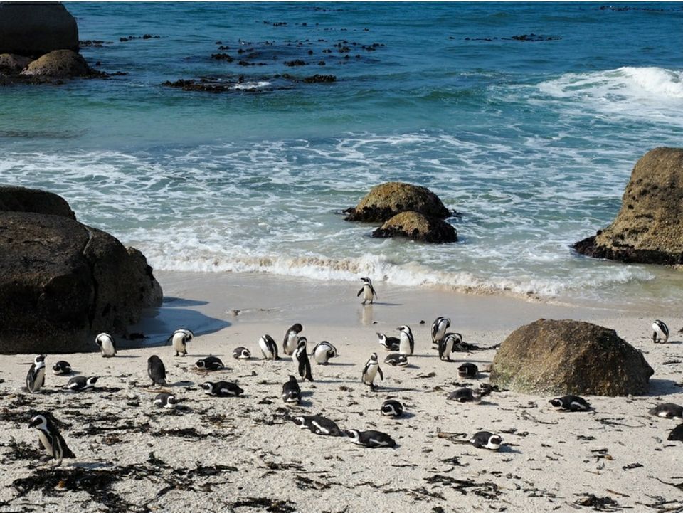 Photo of Cape Peninsula, Cape Town, South Africa by raghavendra nanubala