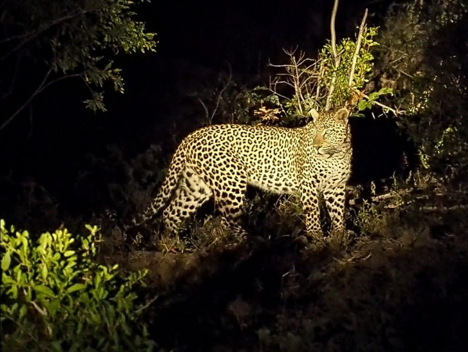 Photo of Kruger-Nationalpark, South Africa by raghavendra nanubala