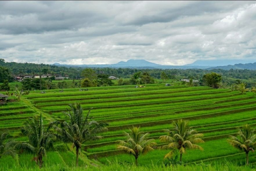 Photo of If you have more money spend here #baliinphotos by raghavendra nanubala
