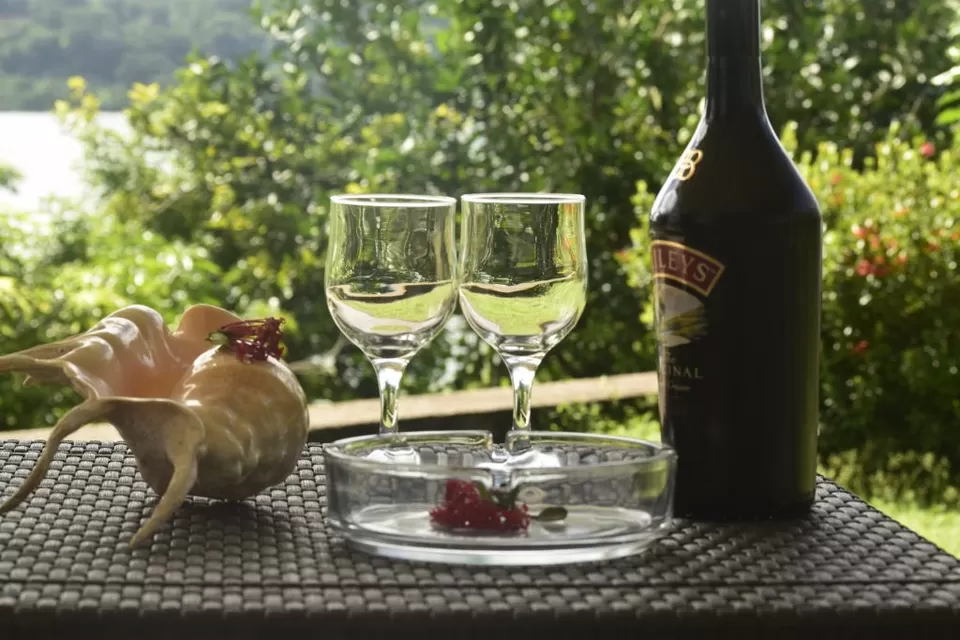 Photo of Sailfish Beach Villas, Anse a la Mouche, Seychelles by Beyond Sunrises and Sunsets