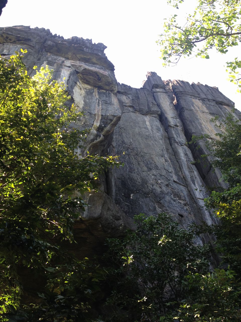 Photo of Beauty of Kumta!! (Yana Caves, Mirjan Fort & Vibhooti Falls) 3/5 by Abhilash Sharma