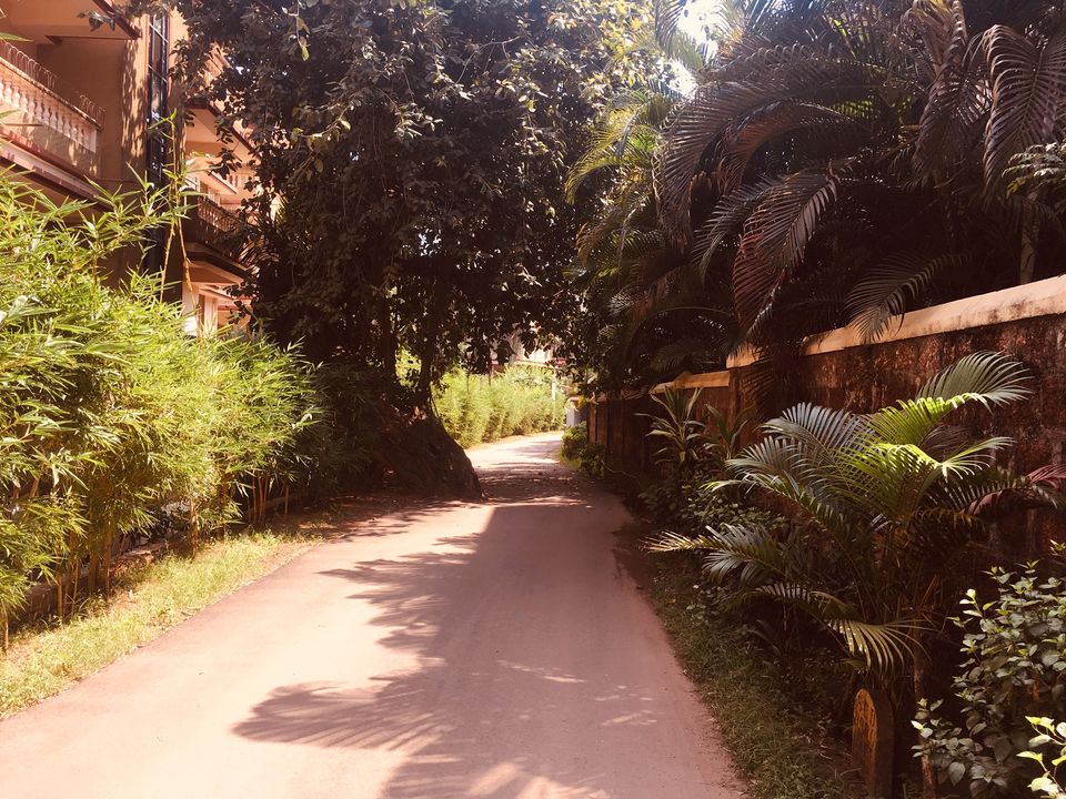 Photo of Deltin Jaqk, Patto Colony, Panaji, Goa, India by Abhilash Sharma