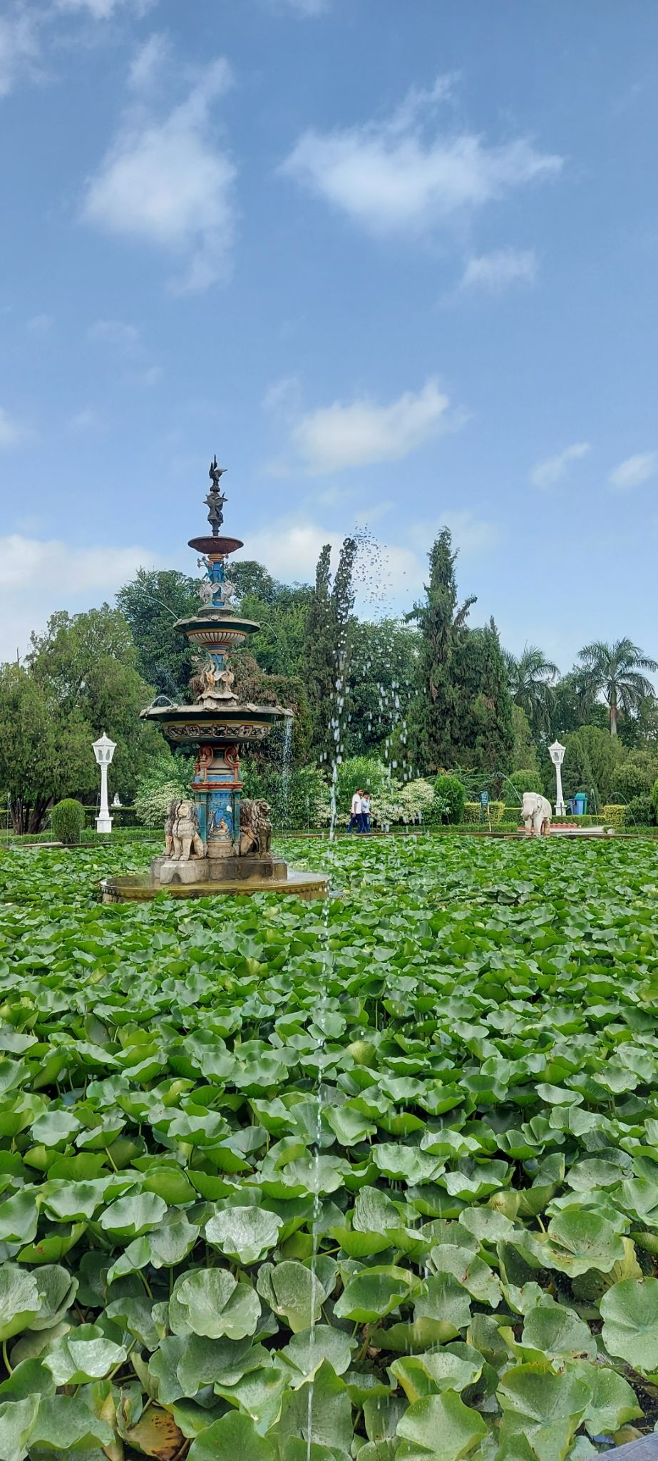 Photo of Solo in udaipur jodhpur 2021 by Mandar RK