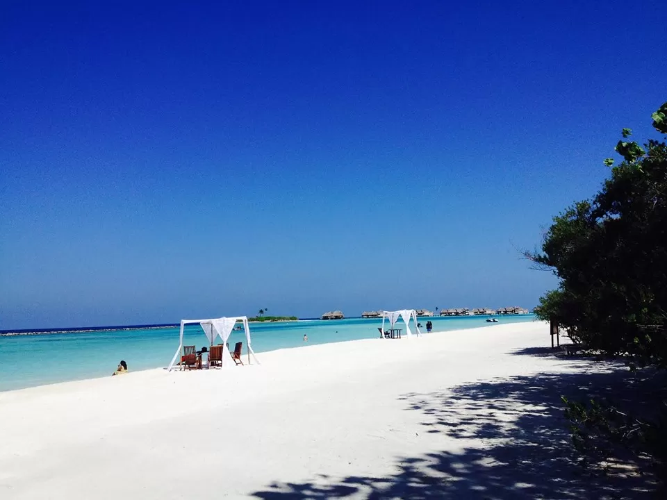 Photo of Paradise Island Resort & Spa, Maldives by Rajdeep Mondal