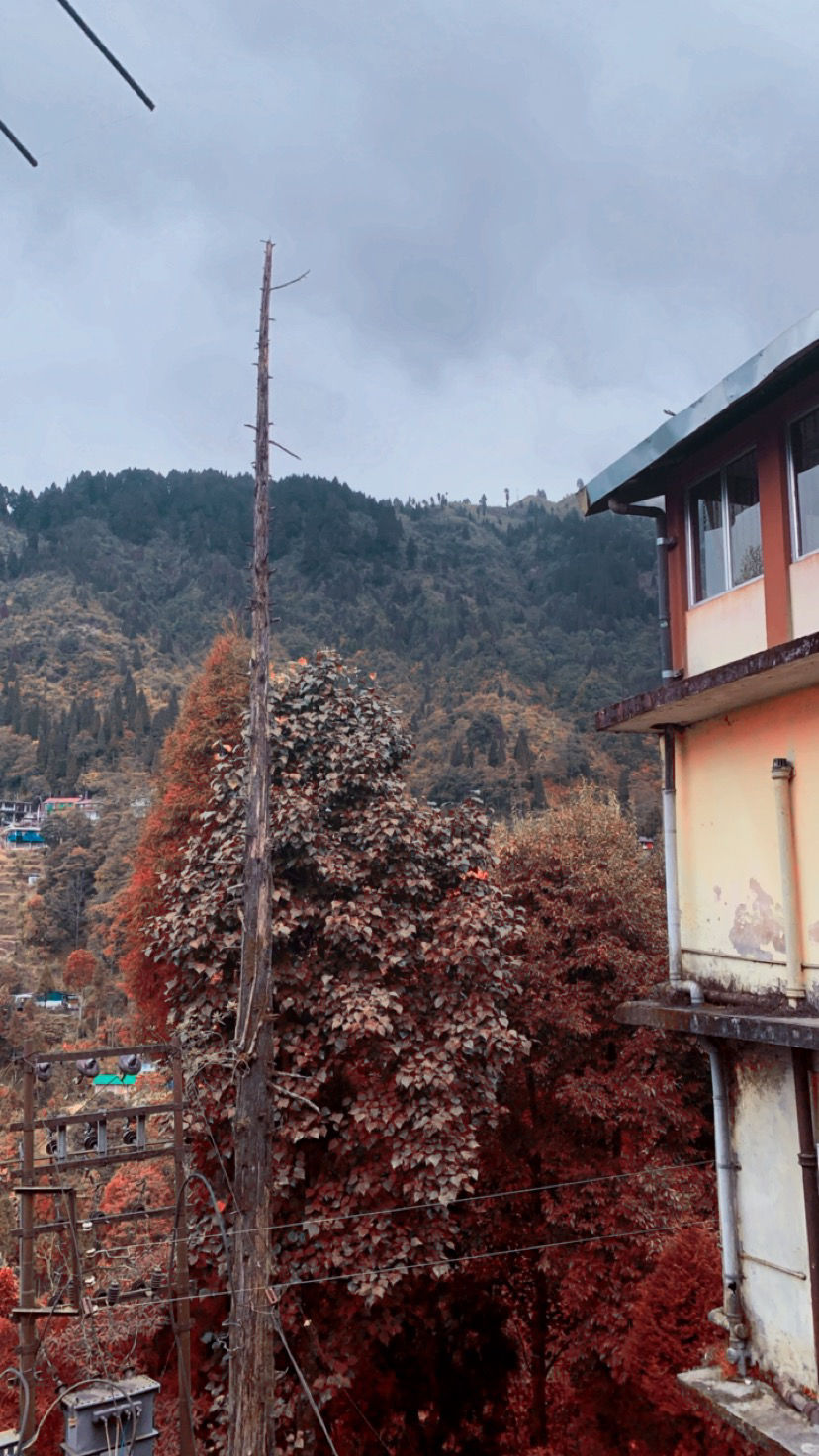 Photo of I Walked My Way Through Darjeeling by Namrata Bezbaruah