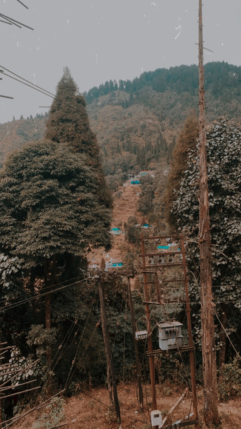 Photo of I Walked My Way Through Darjeeling by Namrata Bezbaruah