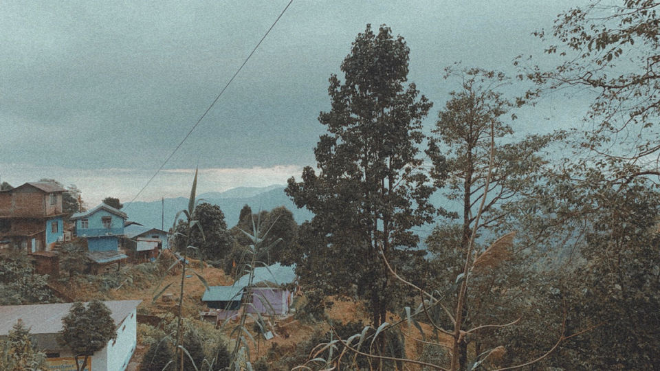 Photo of I Walked My Way Through Darjeeling by Namrata Bezbaruah