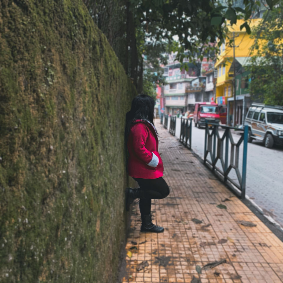 Photo of I Walked My Way Through Darjeeling by Namrata Bezbaruah
