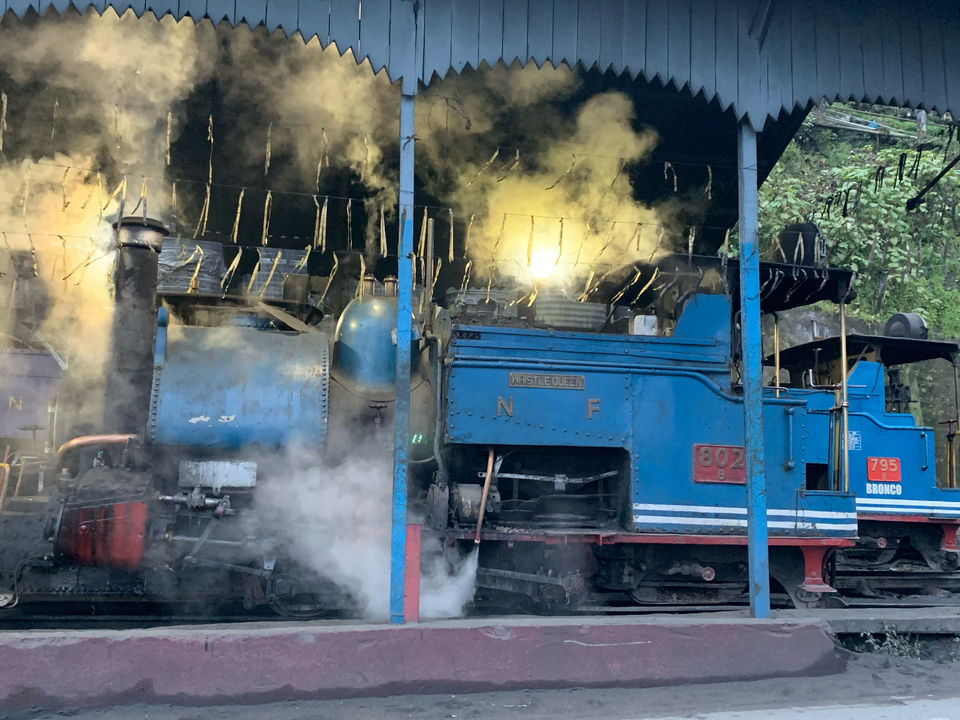 Photo of I Walked My Way Through Darjeeling by Namrata Bezbaruah