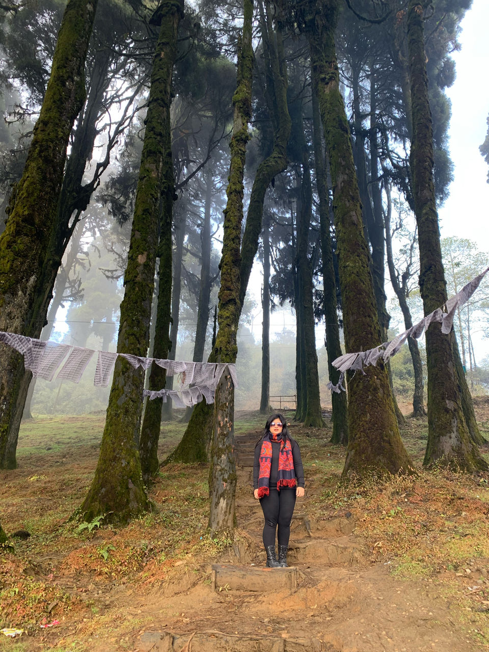 Photo of I Walked My Way Through Darjeeling by Namrata Bezbaruah