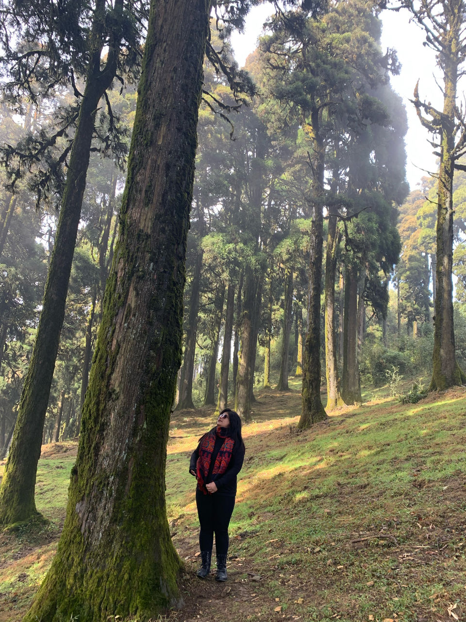 Photo of I Walked My Way Through Darjeeling by Namrata Bezbaruah