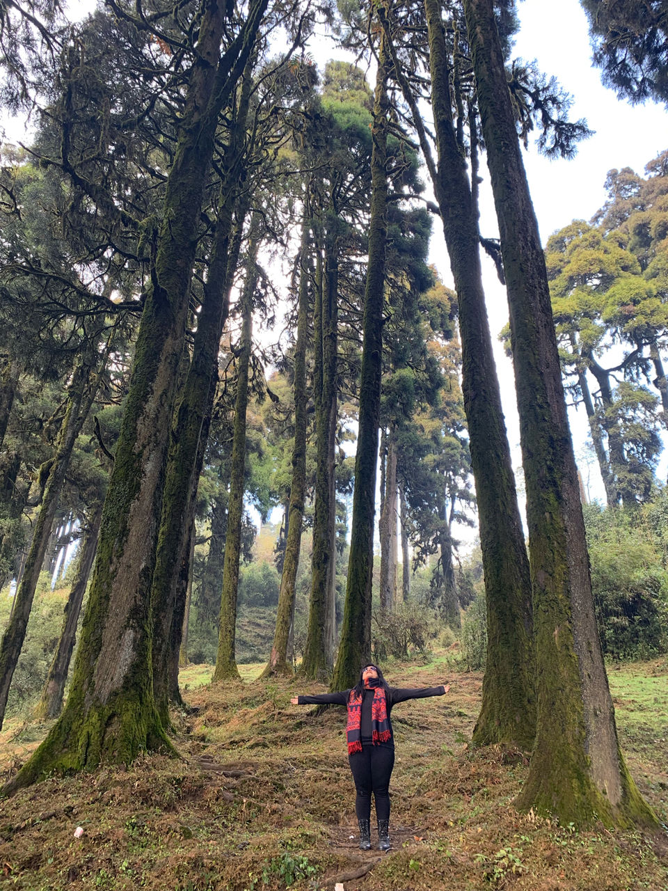 Photo of I Walked My Way Through Darjeeling by Namrata Bezbaruah