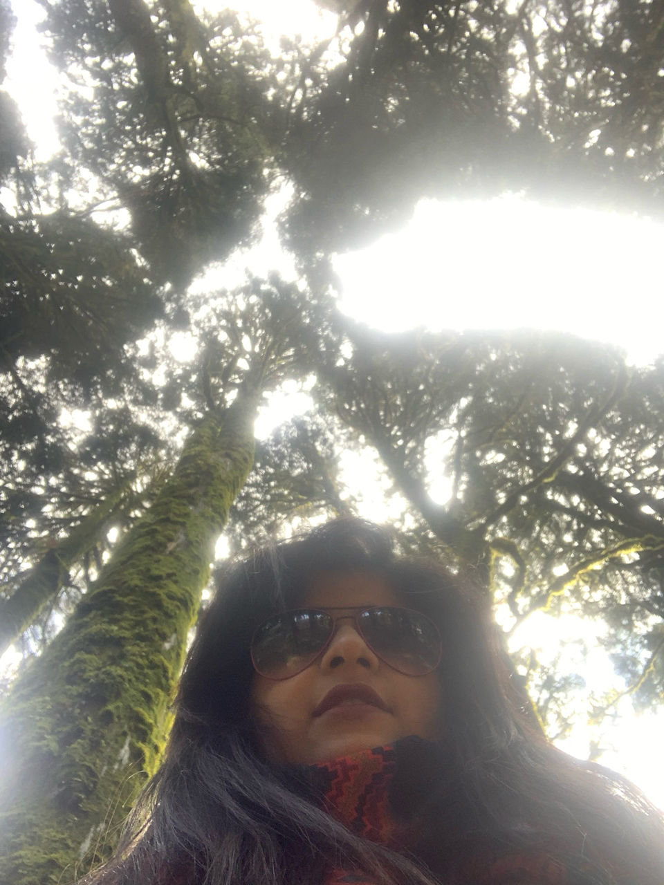 Photo of I Walked My Way Through Darjeeling by Namrata Bezbaruah
