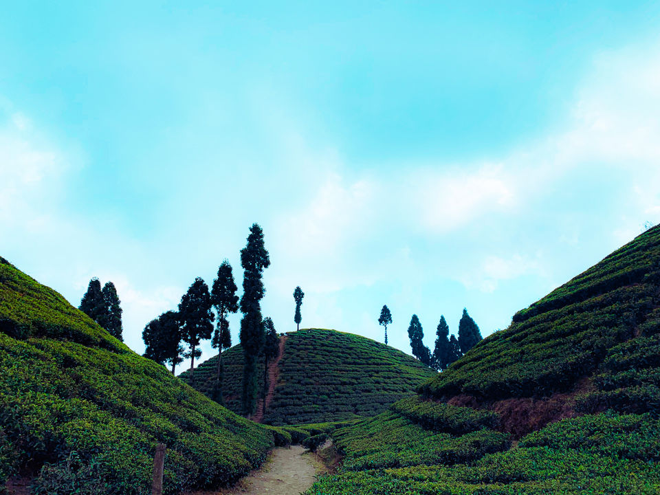 Photo of I Walked My Way Through Darjeeling by Namrata Bezbaruah
