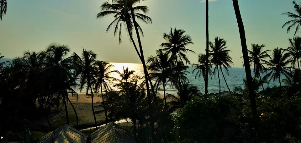 Photo of A bachelor's trip to Goa by The travelling dude