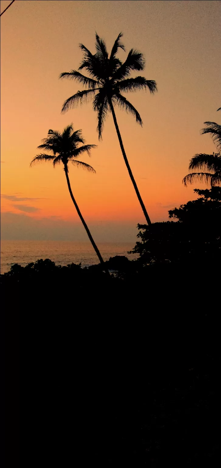 Photo of A bachelor's trip to Goa by The travelling dude