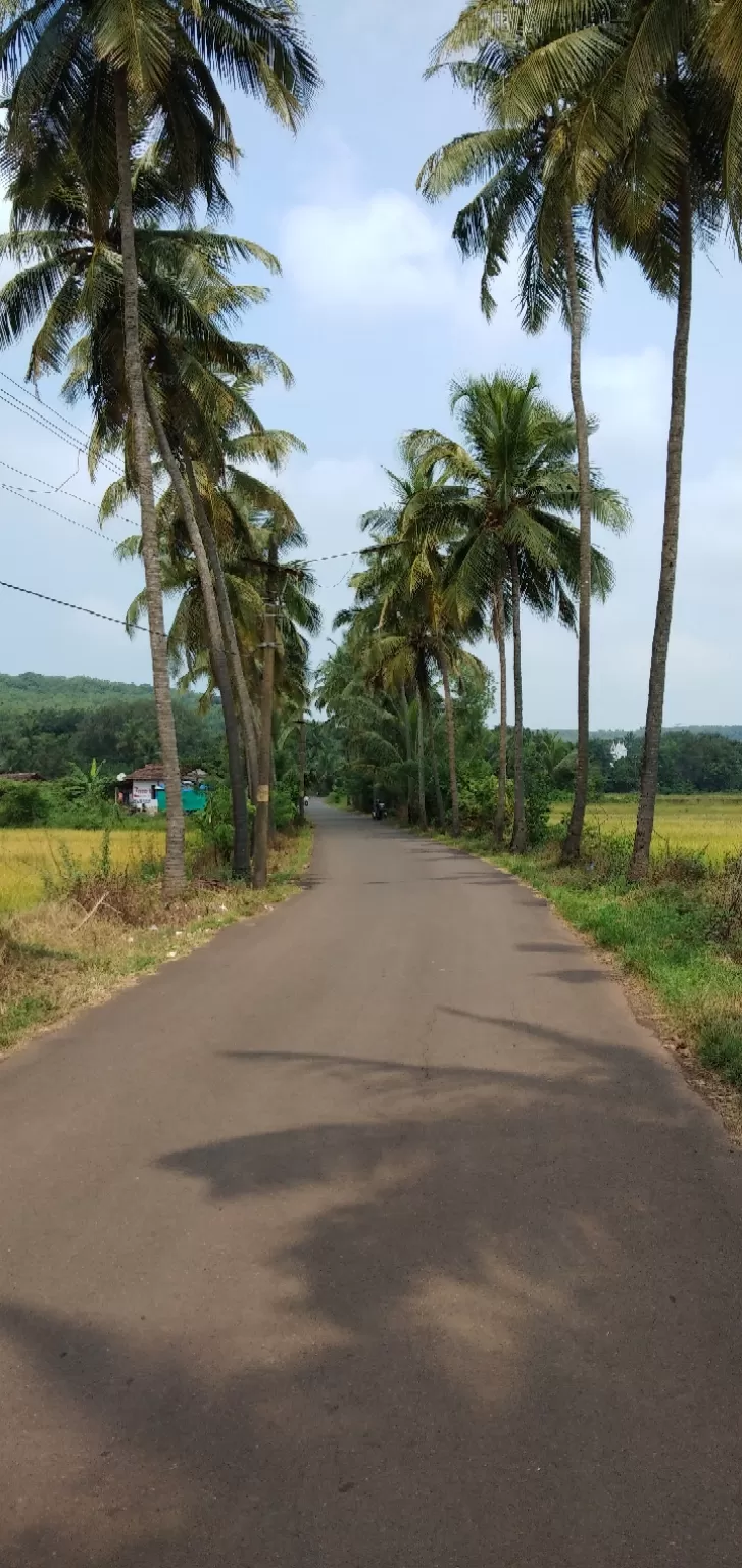 Photo of A bachelor's trip to Goa by The travelling dude