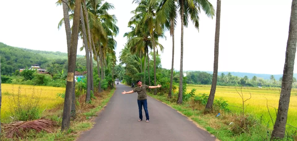Photo of A bachelor's trip to Goa by The travelling dude