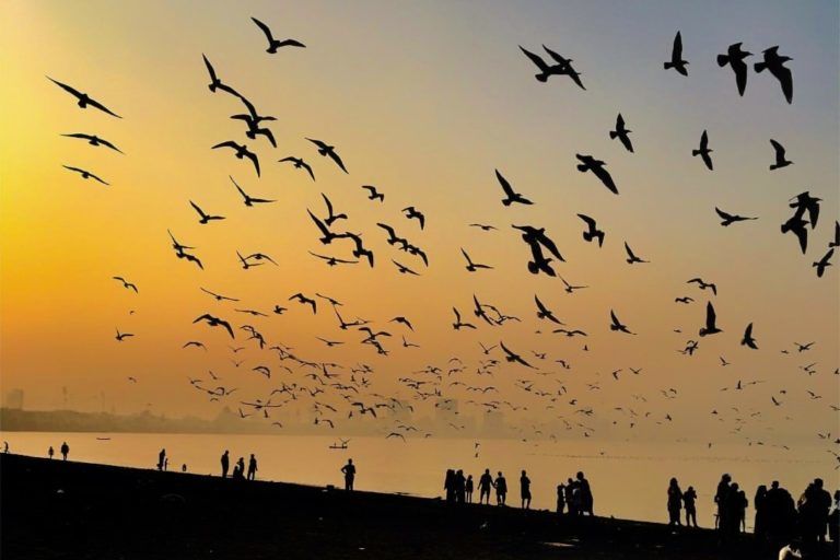 Photo of Top 10 Best Beaches of Mumbai (2019) Comprehensive Guide by Ashutosh Balikai