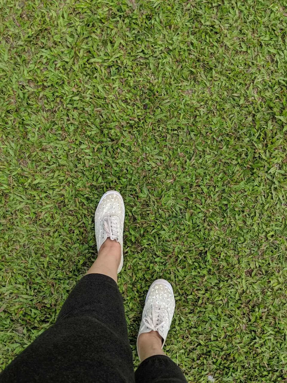 Photo of Jaldapara, West Bengal, India by Tania Sahu (whatever tania)