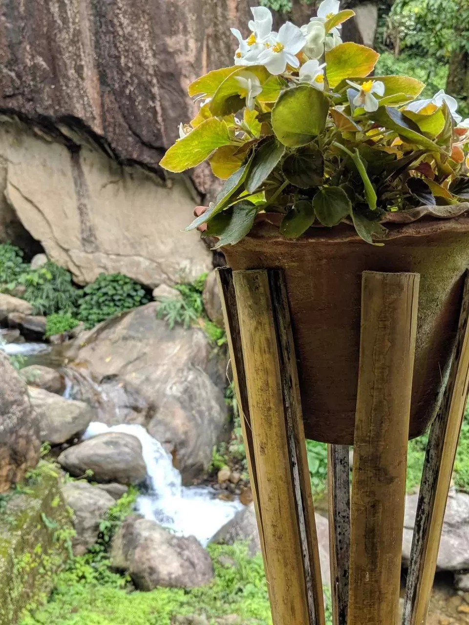 Photo of Bindu, West Bengal, India by Tania Sahu (whatever tania)