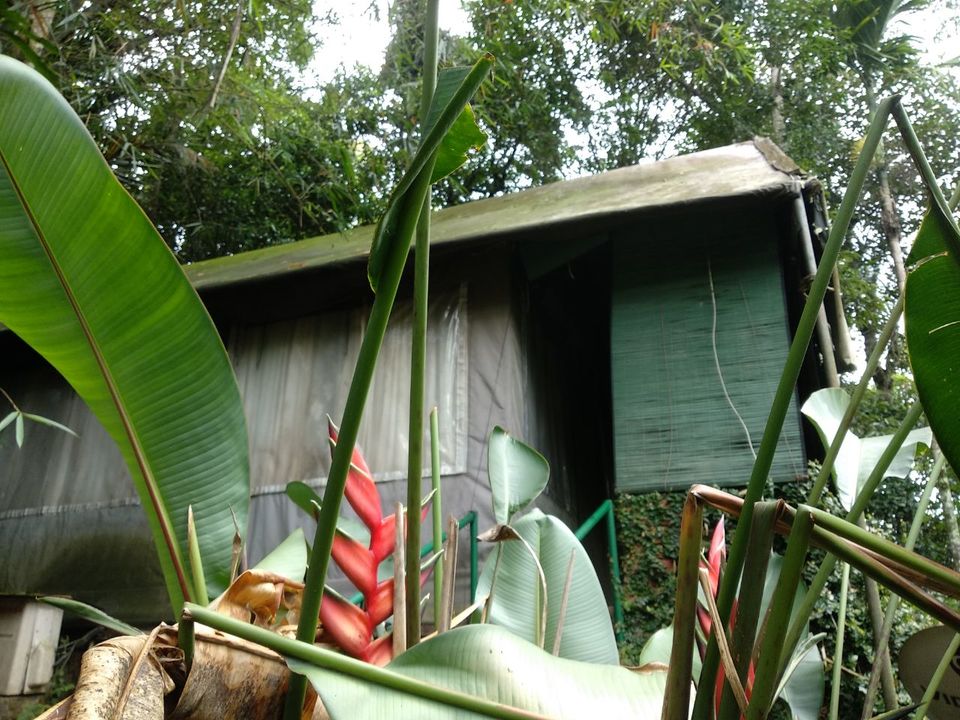 Photo of Grass Roots,a luxury tent in Wayanad #notonTripoto by Tania Sahu (whatever tania)