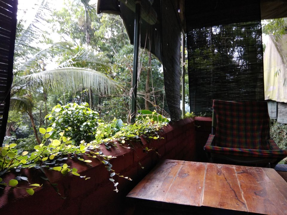 Photo of Grass Roots,a luxury tent in Wayanad #notonTripoto by Tania Sahu (whatever tania)