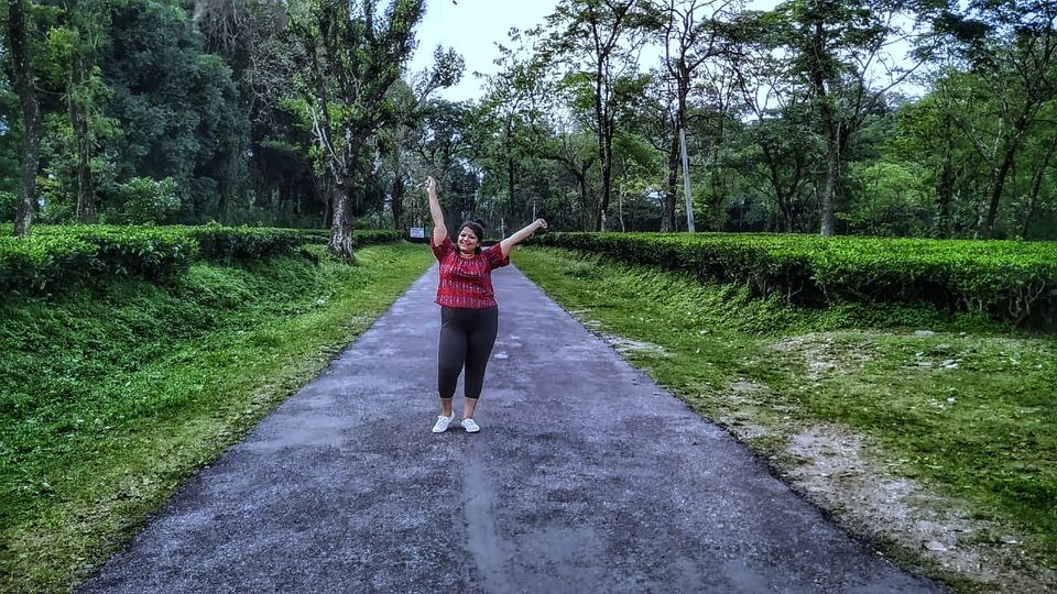 Photo of Incredible North Bengal - Photoblog #photoblog #siliguri #northbengal 1/1 by Tania Sahu (whatever tania)