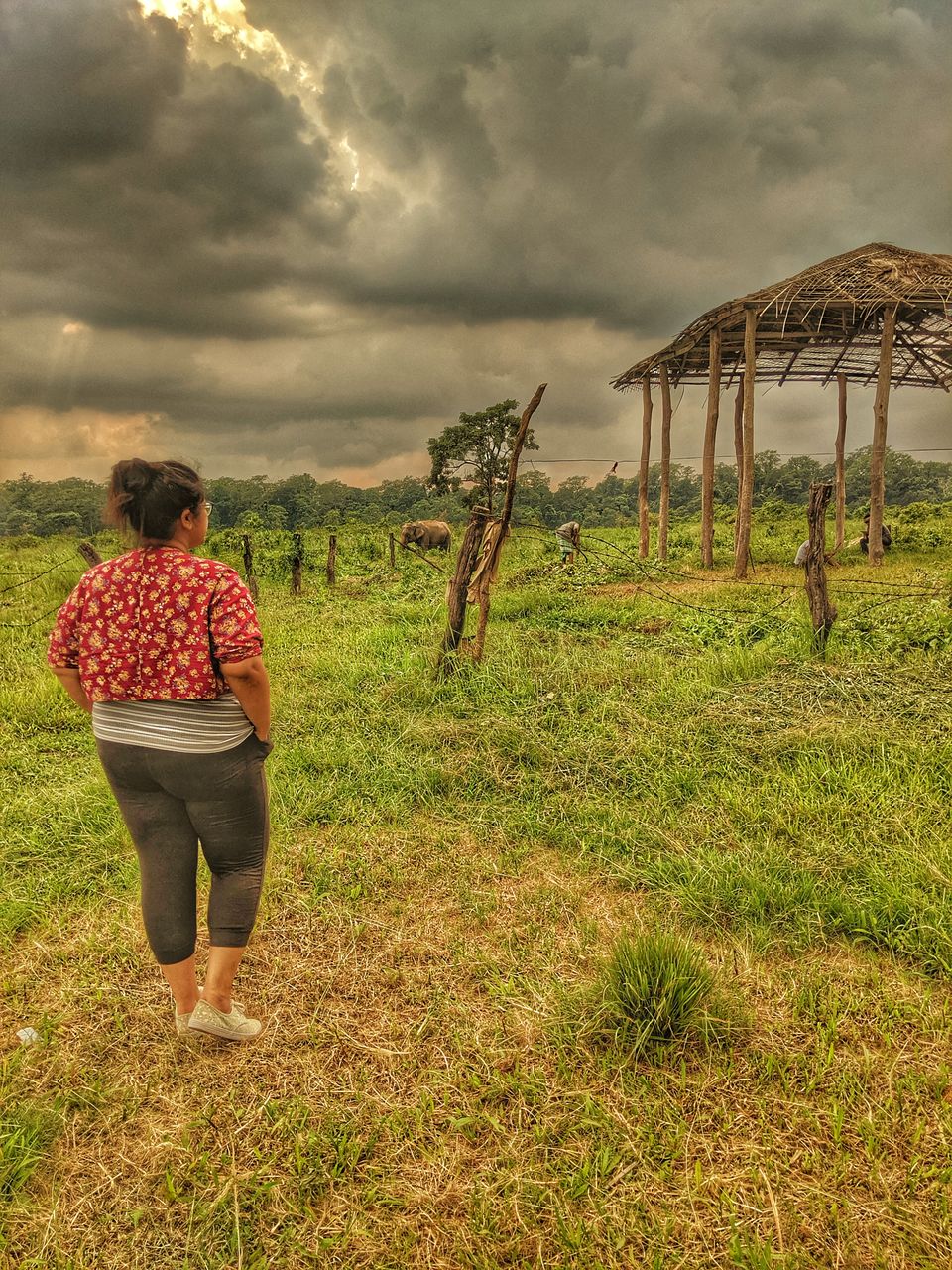 Photo of Incredible North Bengal - Photoblog #photoblog #siliguri #northbengal by Tania Sahu (whatever tania)