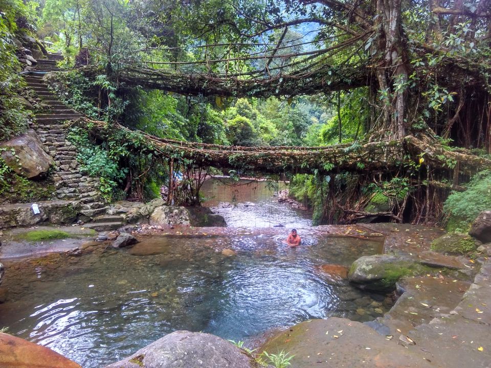 Photo of Jingkieng Nongriat Double Decker Living Root Bridge, Nongriat, Meghalaya, India by devanshimaloo