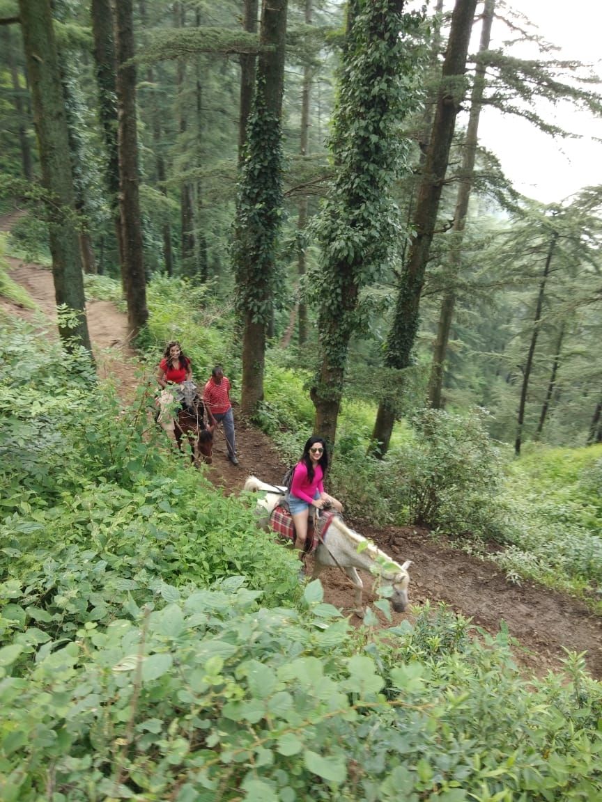 Photo of Looking for a getaway in budget ? This is where you can go by divya chhabra