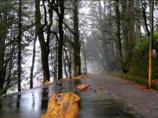 Photo of Things to Do in Mussoorie: Nature & Wildlife by divya chhabra