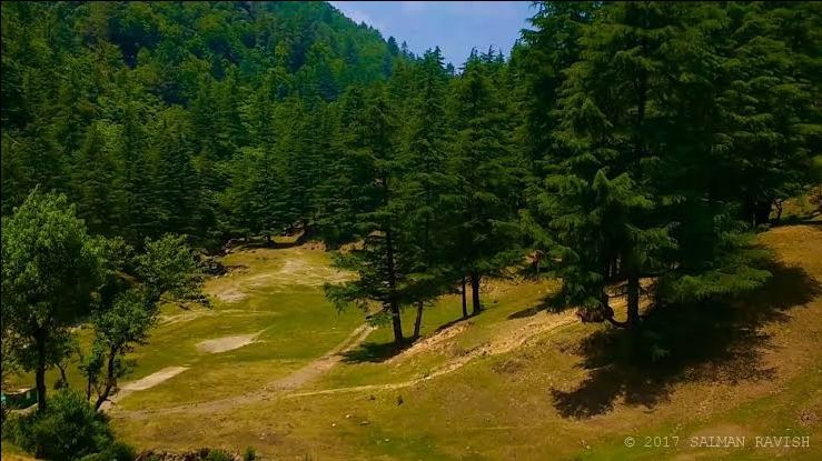 Photo of Things to Do in Mussoorie: Nature & Wildlife by divya chhabra