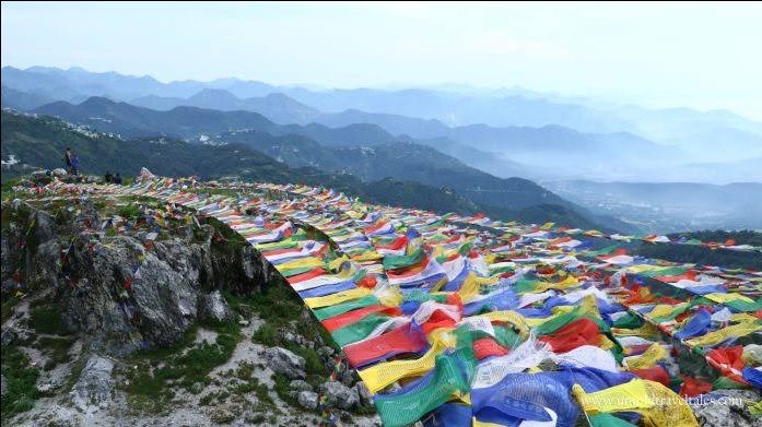 Photo of Things to Do in Mussoorie: Nature & Wildlife by divya chhabra