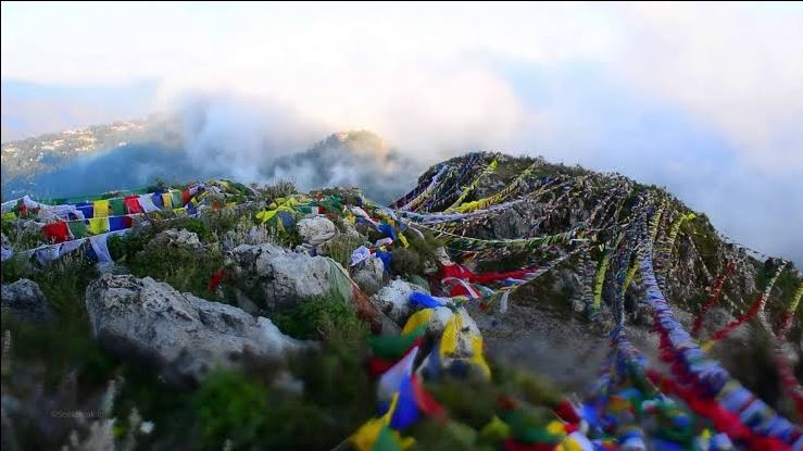 Photo of Things to Do in Mussoorie: Nature & Wildlife by divya chhabra
