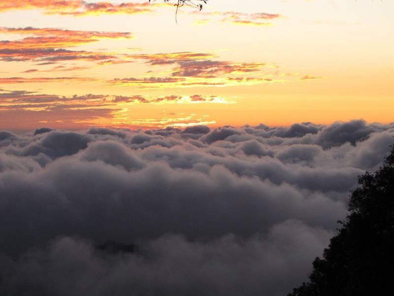 Photo of Things to Do in Mussoorie: Nature & Wildlife by divya chhabra