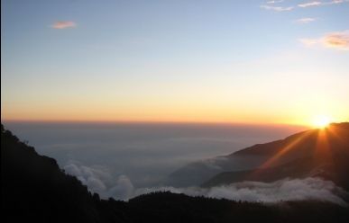Photo of Things to Do in Mussoorie: Nature & Wildlife by divya chhabra