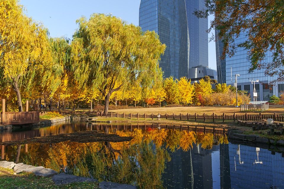 Photo of Seoul, South Korea by Abhinav Singh