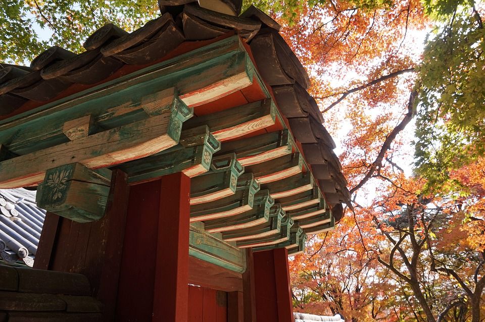 Photo of This 9 day itinerary to South Korea is packed with action and fun! by Abhinav Singh