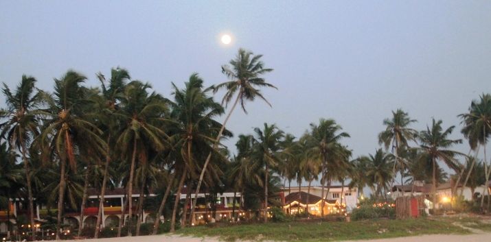 Photo of Exploring Goa by Jogi