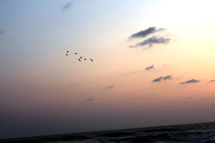 Photo of Exploring Goa by Jogi