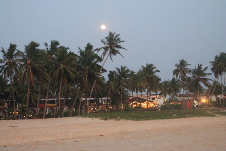 Photo of Exploring Goa by Jogi