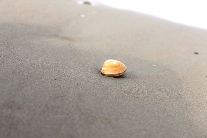Photo of Exploring Goa by Jogi