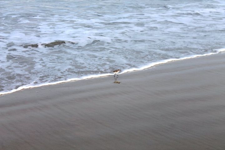 Photo of Exploring Goa by Jogi